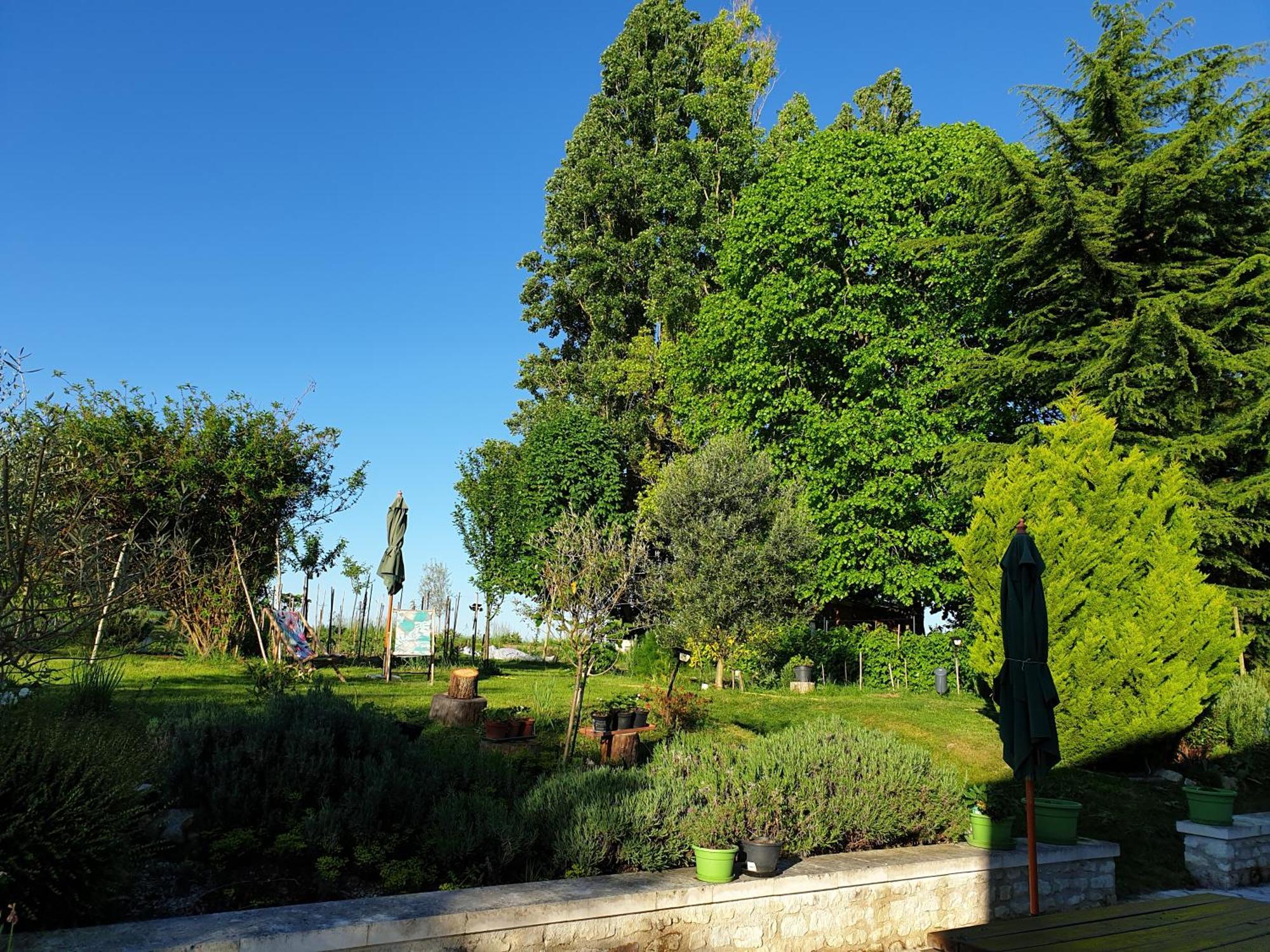 La Tour Du Raygnier Bed & Breakfast Verneuil-le-Chateau Ngoại thất bức ảnh